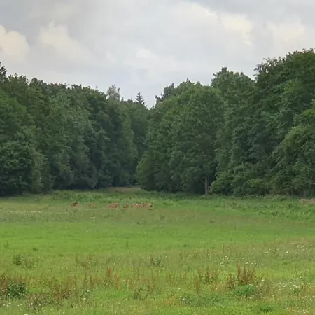 Appartement Klaus Stoertebeker